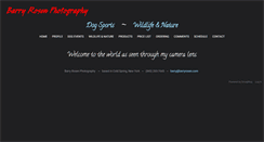 Desktop Screenshot of barryrosen.com